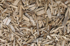 biomass boilers Ingestre