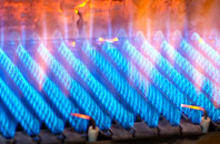 Ingestre gas fired boilers
